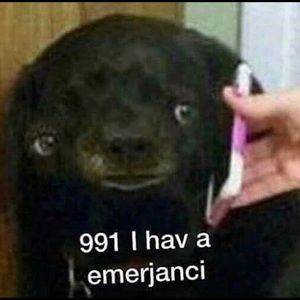 Meet your Posher, Jorge